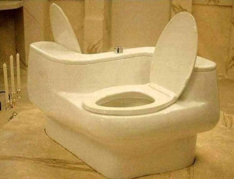 toilet for two