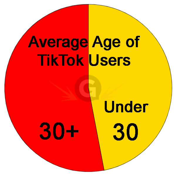 pie chart of tiktok users age