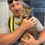 firefighter holding cat